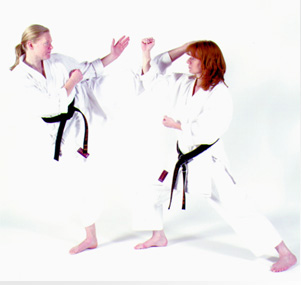 Traditional Shotokan Karate Training
